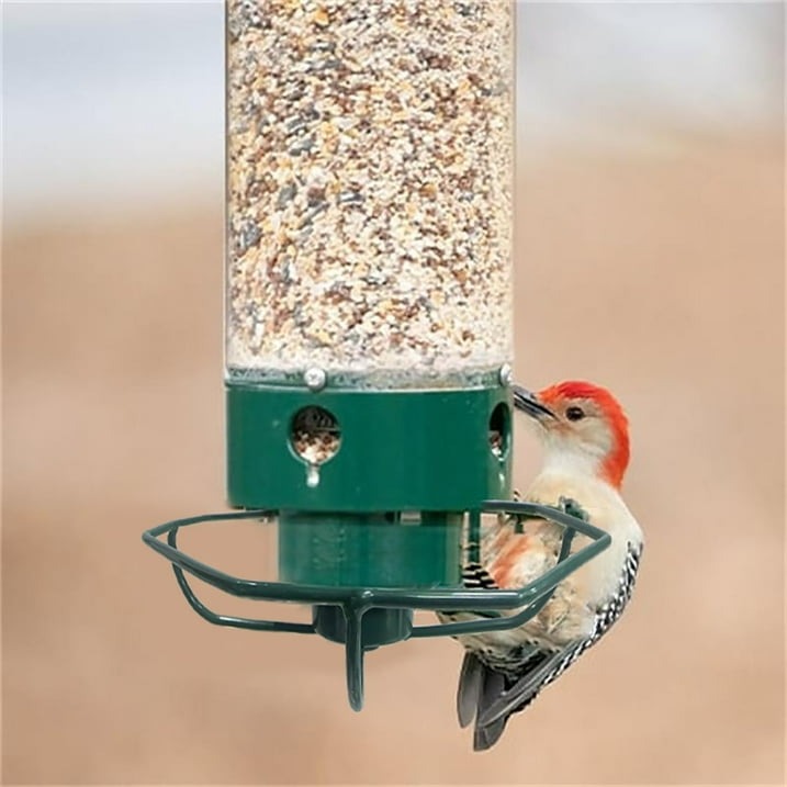Squirrel-Proof Bird Feeder For Outdoor