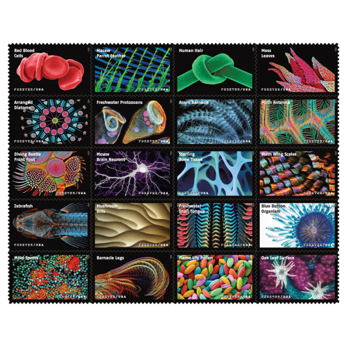 2023 USPS Life Magnified Forever Stamps 100Pcs/Pack