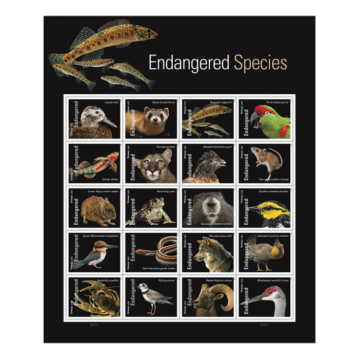 2023 USPS Endangered Species Forever Stamps 100Pcs/Pack