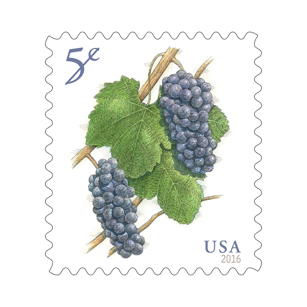 2016 USPS Pinot Noir Grapes Postage Stamps 100Pcs/Pack