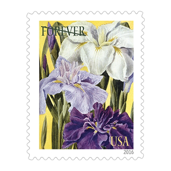 2016 USPS Botanical Art Forever Stamps 100Pcs/Pack