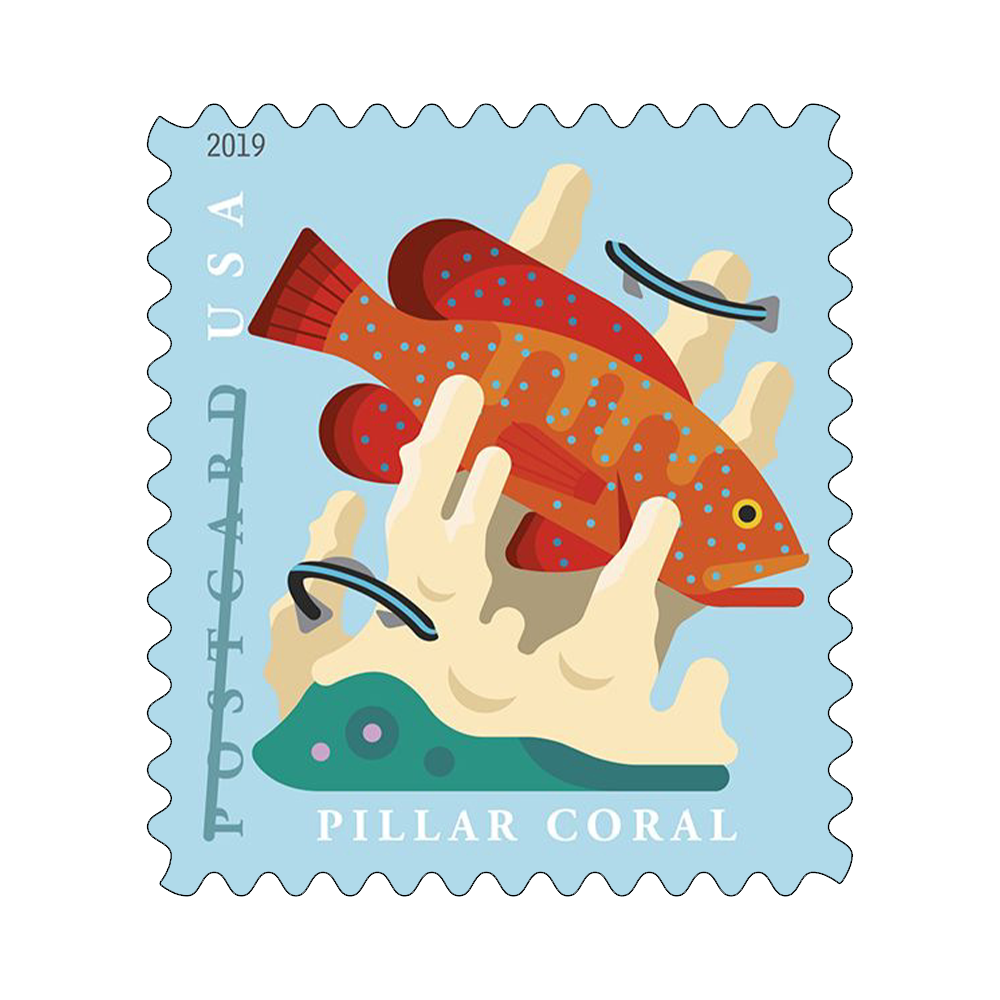 2019 USPS Coral Reefs Postcard Rate Stamps 100Pcs/Pack