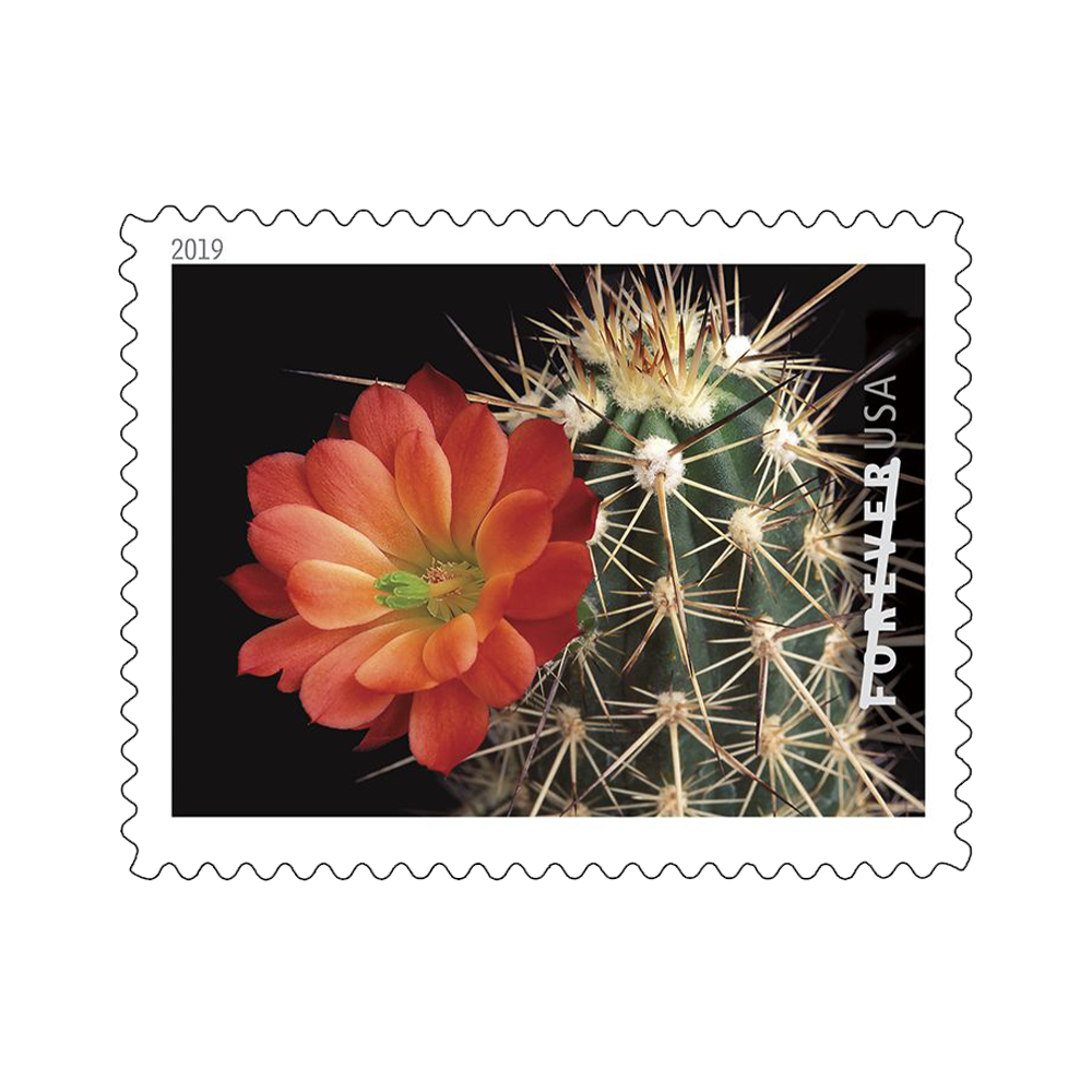 2019 USPS Cactus Flower Forever Stamps 100Pcs/Pack