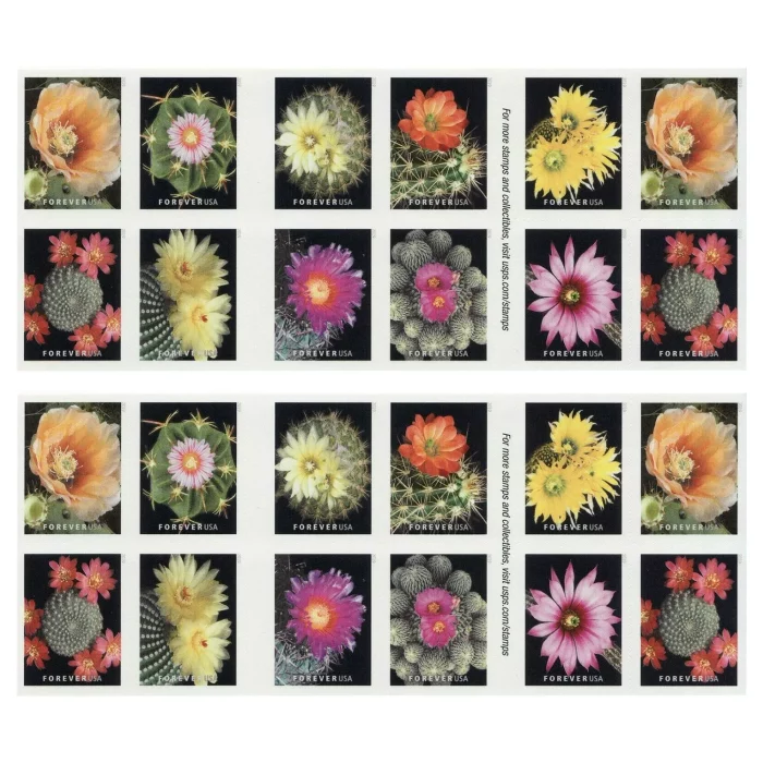 2019 USPS Cactus Flower Forever Stamps 100Pcs/Pack