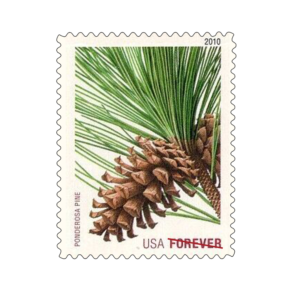 2010 USPS Holiday Evergreens Forever Stamps 100Pcs/Pack