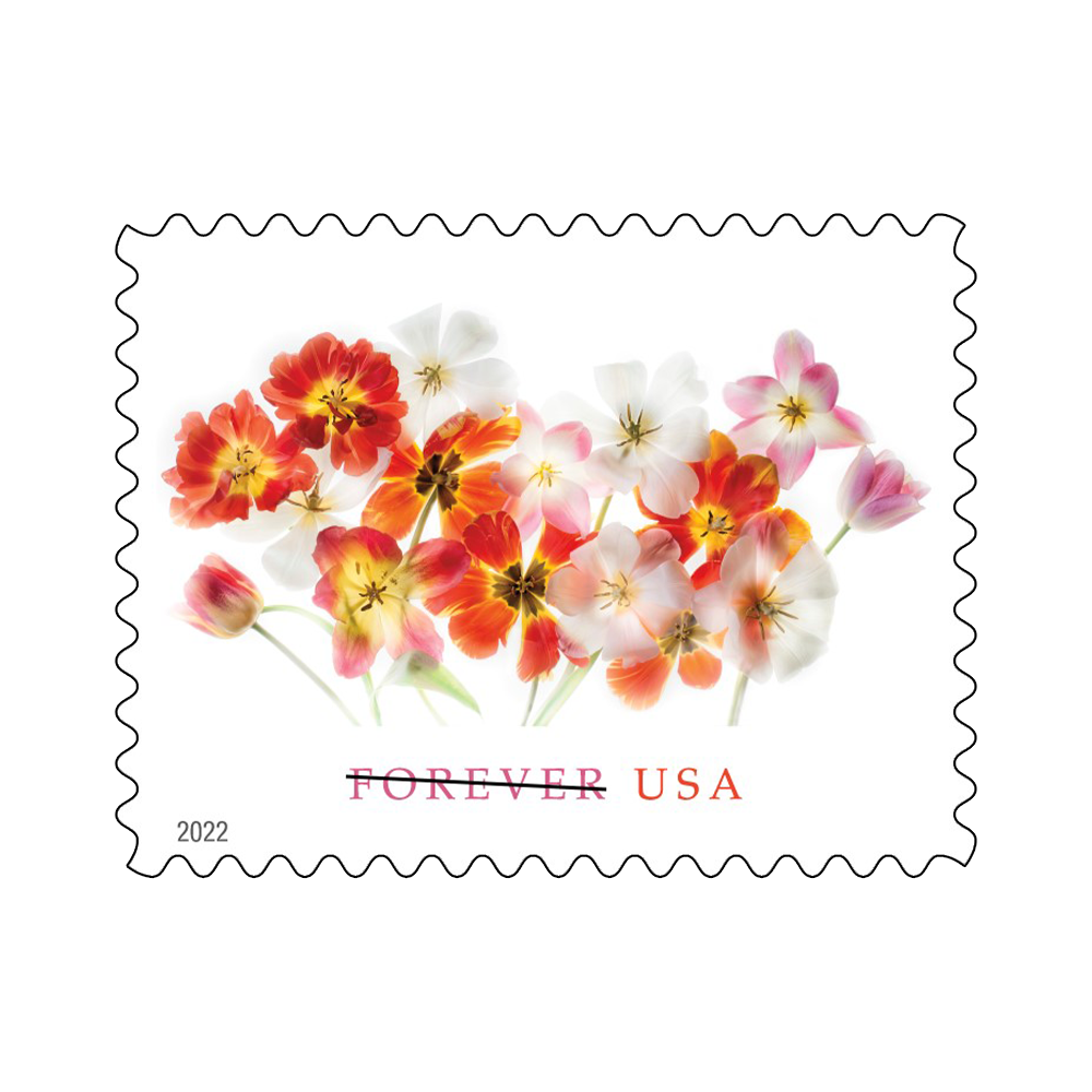 2022 USPS Tulip Forever Stamps 100Pcs/Pack