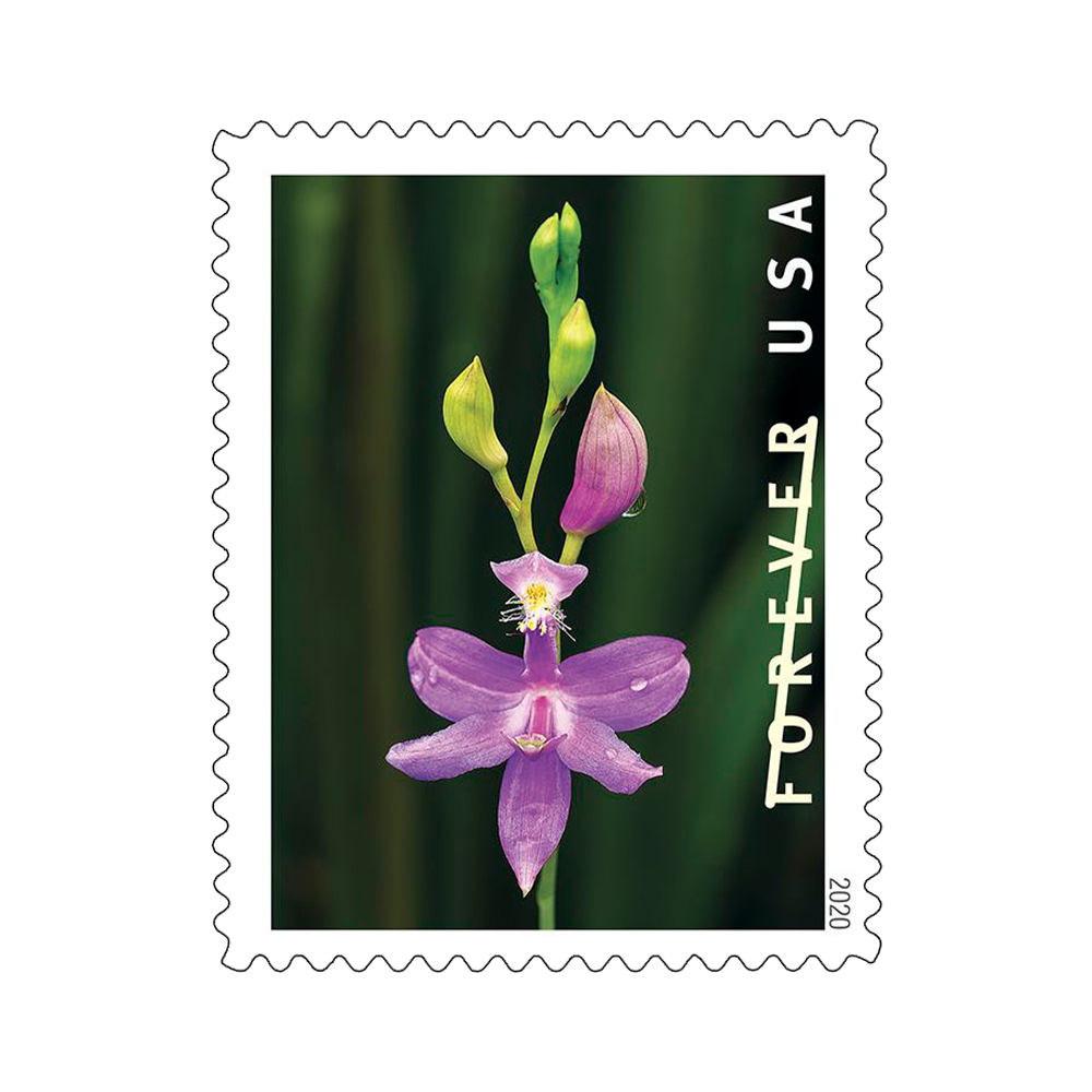2021 USPS Garden Beauty Forever Stamps 100Pcs/Pack