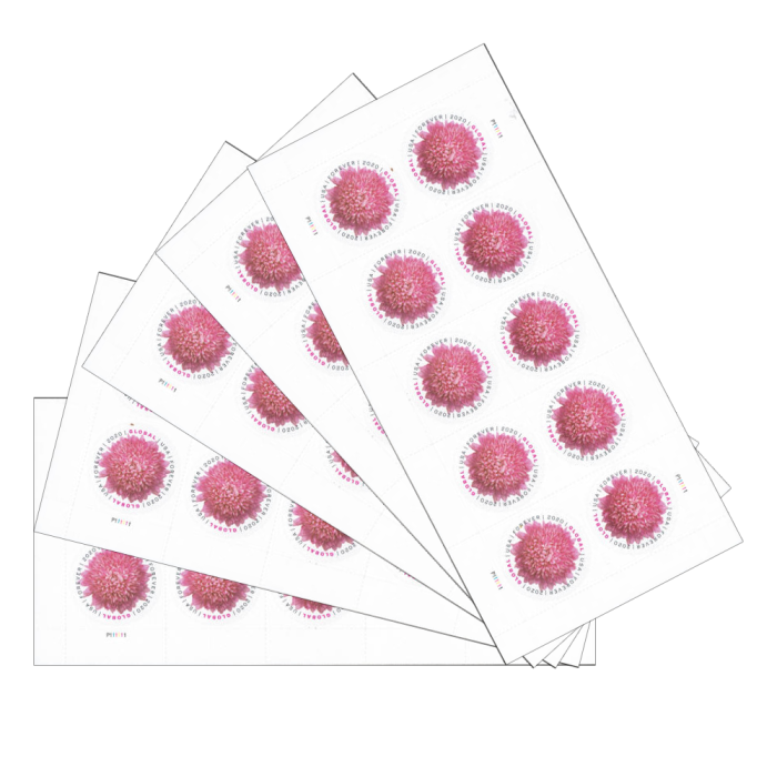 2020 USPS Chrysanthemum Global Forever Stamps 100Pcs/2Packs
