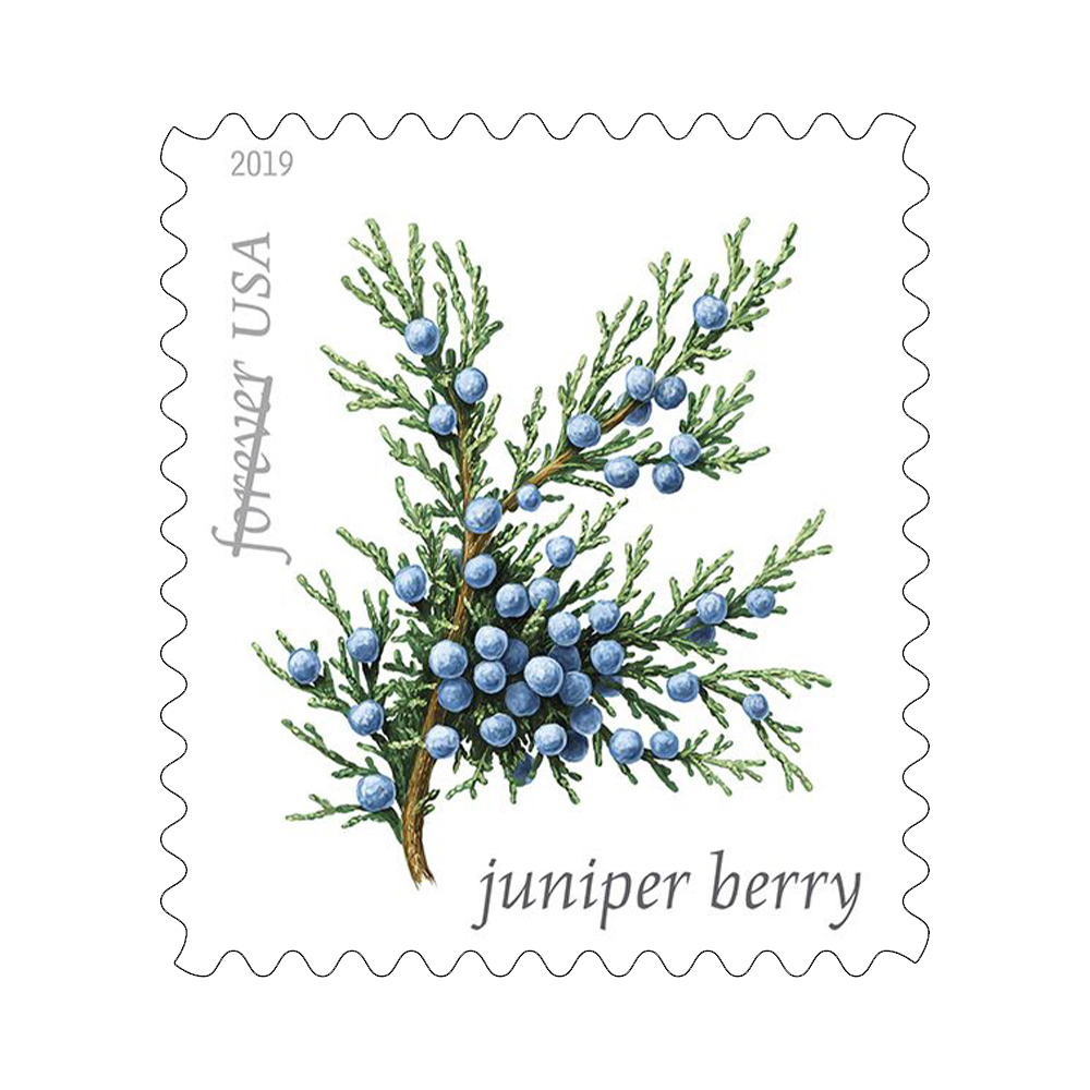 2019 USPS Winter Berries Forever Stamps 100Pcs/Pack