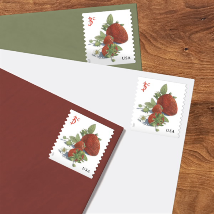 2017 USPS Strawberry Postage Stamps 100Pcs/Pack