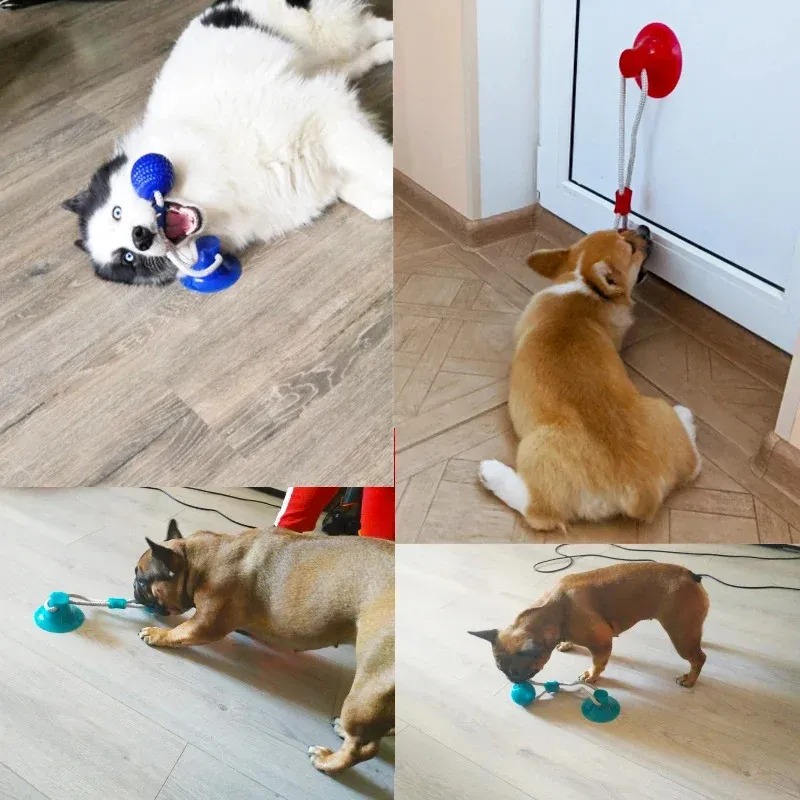 Multifunction Dog Molar Teeth Cleaning Bite Toy